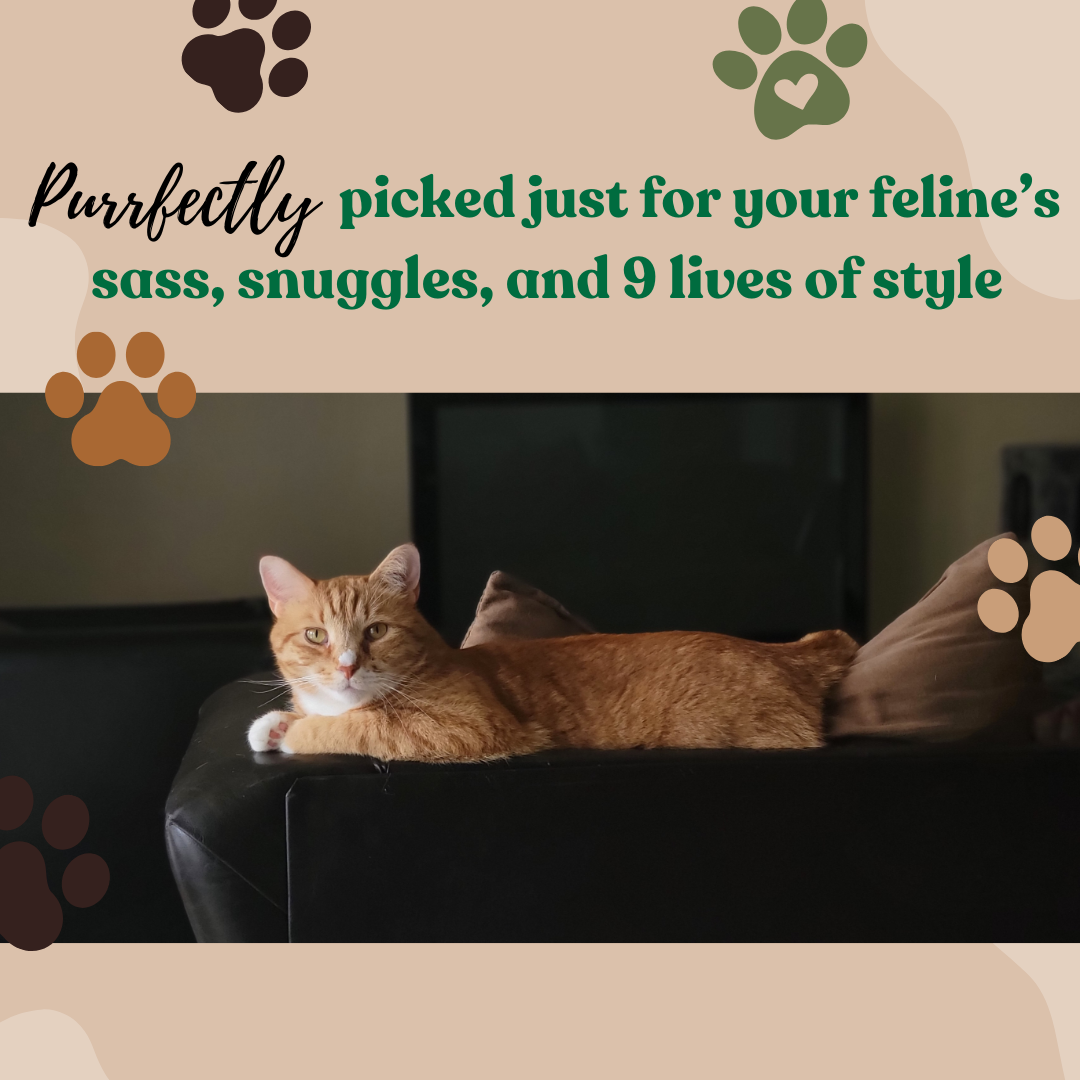 Feline Collection